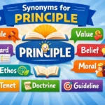synonyms for principle