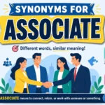 synonyms for associate