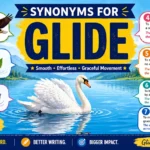 synonyms for glide