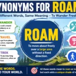 synonyms for roam
