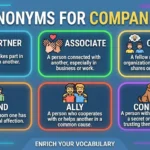 synonyms for companion