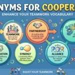 synonyms for cooperation